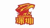 媒体人：深圳若20天不打正式比赛 半决赛着实会不好打